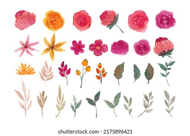 Watercolor flowers isolated element for wedding invitation decoration 