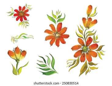 watercolor flowers with leaves of different varieties