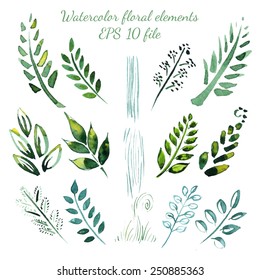 Watercolor flowers and leaves elements