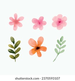 watercolor flowers on a white background
