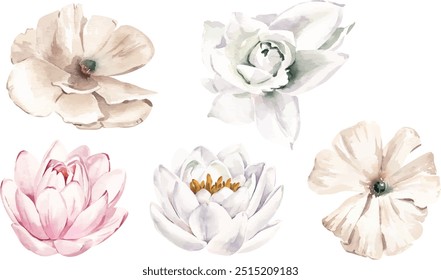 flores aquarelas . É perfeito para cartões de felicitações, convite de casamento, design de casamento, aniversário e cartões de dia de mães. Ilustração botânica aquarela isolada sobre fundo branco