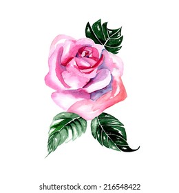 Watercolor flowers - pink rose, vector
