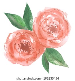 watercolor flowers - pink roses, peonies with leaves, vector illustration