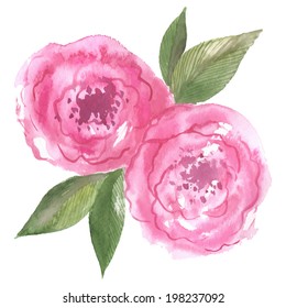 watercolor flowers - pink roses, peonies with leaves, vector illustration