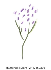 Watercolor flowers, plants in flat style. Minimalistic summer, spring illustration. Botanical element in art. Foliage of abstract forms. Wild flower. nature, branch of flowers, lilac. Blossom. EPS10