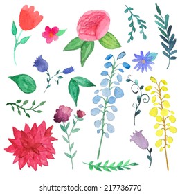 Watercolor flowers and plants set. Vintage hand drawn vector illustration.