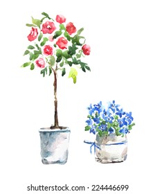 Watercolor. Flowers in pot. 