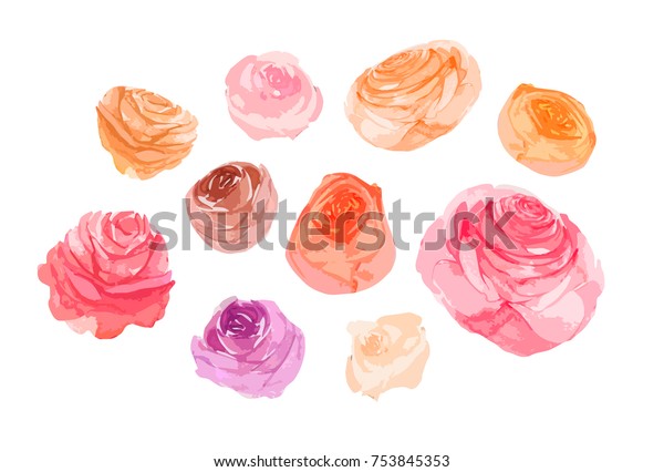 Watercolor Flowers Rosesisolated On White Sketched Stock Vector ...