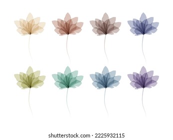 watercolor flowers set in different colour	