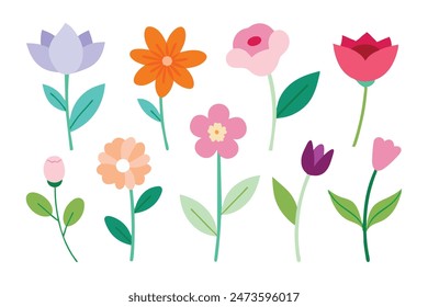 
Watercolor Flowers set, minimal flat illustration on white background