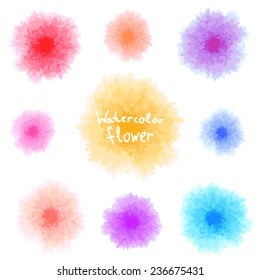 Watercolor flowers set, vector