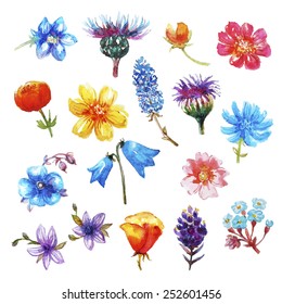 watercolor flowers set,each element on a separate layer