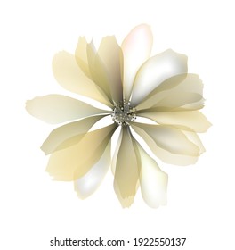 Watercolor flowers template frame vignette invitation illustration