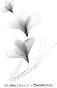 Watercolor flowers template frame vignette invitation illustration delicate color vector 