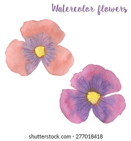 Watercolor flowers in vector