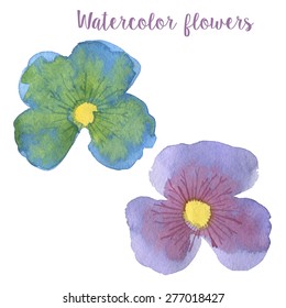 Watercolor flowers in vector