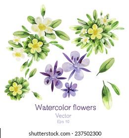 Watercolor flowers. Vector floral collection isolated on white background