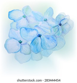 watercolor flowers - vector illustration