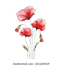 Watercolor flowers vector paintings for postcards and greetings. Floral poppies blossom art