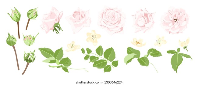 Watercolor Flowers, Vector Rose Bouquet, Wedding Cards Design Template. Rustic Floral Set, Vintage Watercolor Decoration. Wreath of Pink Flowers and Green Petals. Greeting or Invite Watercolor Banner.