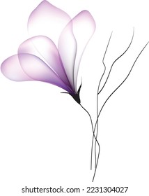 watercolor flowers vignette colorful template for design vintage blooming background vector