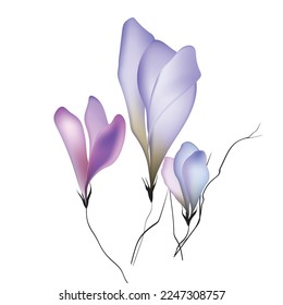 watercolor flowers vignette colorful template for design vintage blooming background  vector
