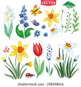 Watercolor flowers,insects,branch.Vintage floral vector,isolated clipart, scrapbooking elements,icons set,kit.Bright colors,spring,summer Floral bouquet maker