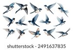 Watercolor fly swallows bird set collection isolated on white background. hand painted vector illustration