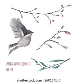 Watercolor flying bird and tree twigs with buds. Spring artistic elements isolated on white background. Vector hand drawn illustrations set