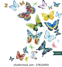 Watercolor Flying Butterflies, Vector