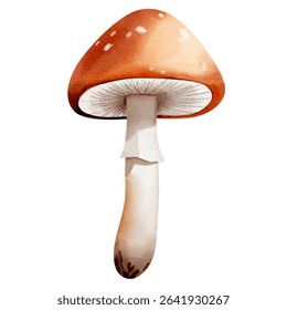 Watercolor forest mushroom. Hand drawn fall illustration perfect for autumn nature design.