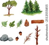 watercolor forest, trees, stone, pine nut, pine cone, woods