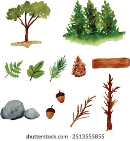 watercolor forest, trees, stone, pine nut, pine cone, woods