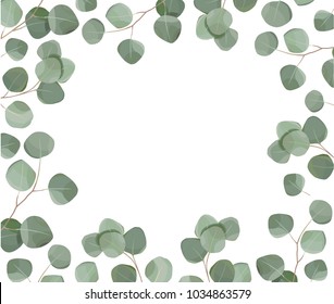 Watercolor frame with eucalyptus leaves and branches isolated on white background. Herbs for cards, wedding invitation, save the date or greeting design.