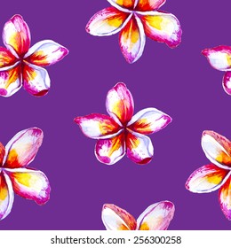 Watercolor frangipani seamless pattern. Hand drawn illustration. Vector.