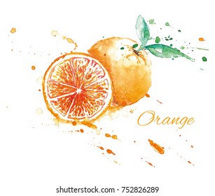 Watercolor fresh orange with splash. Vector design element