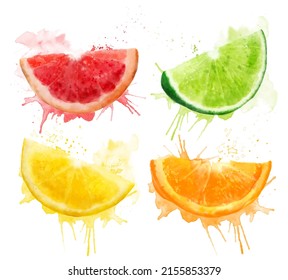 Watercolor fresh summer set of illustrations: grapefruit, lime, lemon and orange slices. Isolated illustrations on a white background, for postcards, patterns, and textiles.