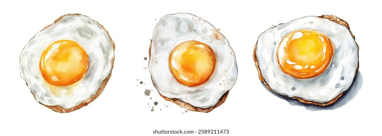 Watercolor fried eggs set png. Appetizing fried eggs with whole yolk and fried crust. Breakfast and protein nutrition concept. Vector illustration.