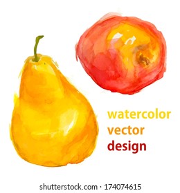 watercolor fruit (apple and pear) - vector illustration