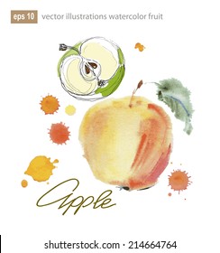 watercolor fruit apple and pear,  vector illustration.