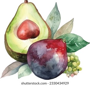 Watercolor fruit avocado isolated on white background