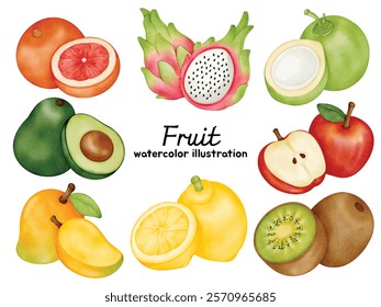 Watercolor Fruit Clip Art Collection - Grapefruit, Dragon Fruit, Coconut, Avocado, Apple, Mango, Lemon, Kiwi, and Pear - Hand-painted Tropical and Fresh Fruits for Recipe Books, Kitchen Decor, DIY Cra