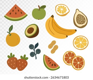 Watercolor Fruit Collection for Fresh Summer Themes in Vibrant Tones for Kitchen Art. Vector Illustration.