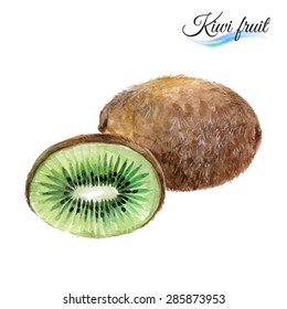 Watercolor fruit kiwi isolated on white background