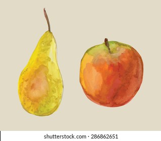watercolor fruit vector apple pear