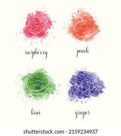 Watercolor fruits, set. Raspberry, Peach, Kiwi, Grapes.	
