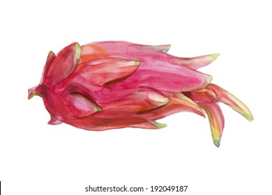 watercolor fruits vector edition