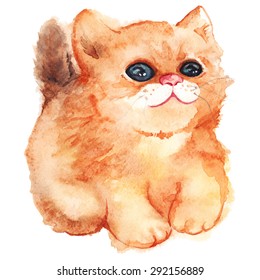 Watercolor funny ginger little fluffy kitten vector isolated