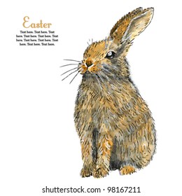 Watercolor funny rabbit, easter illustration,VECTOR