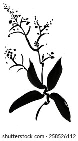 Watercolor garden plant isolated on white background, Japanese style vector illustration